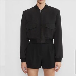 Aritzia Babaton Pleated Shorts